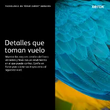 Tóner Xerox 6r1561 Original, Negro