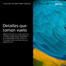 Tóner Xerox 113r00779 Original, Negro