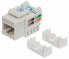 Jack Intellinet Rj45 Cat6 De Impacto (keystone) Blanco