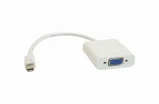 Adaptador Vídeo Ovaltech Ovmdp-vga Vga (d-sub) A Mini Displayport, 0.2 M