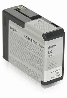 Cartucho De Tinta Epson T580700 Original, Negro Claro